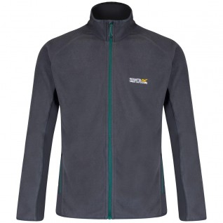 Regatta Ashton Erkek Polar-GRİ