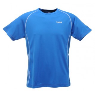 Regatta Elixir Erkek T-Shirt-MAVİ