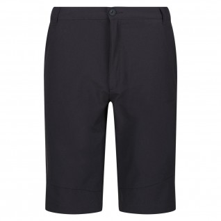Regatta Highton ShortLong Erkek Şort-GRİ