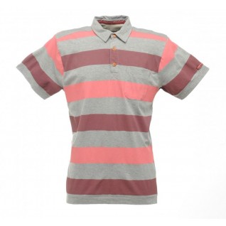 Regatta Quietstorm Polo Yaka Erkek T-Shirt-KAHVERENGİ